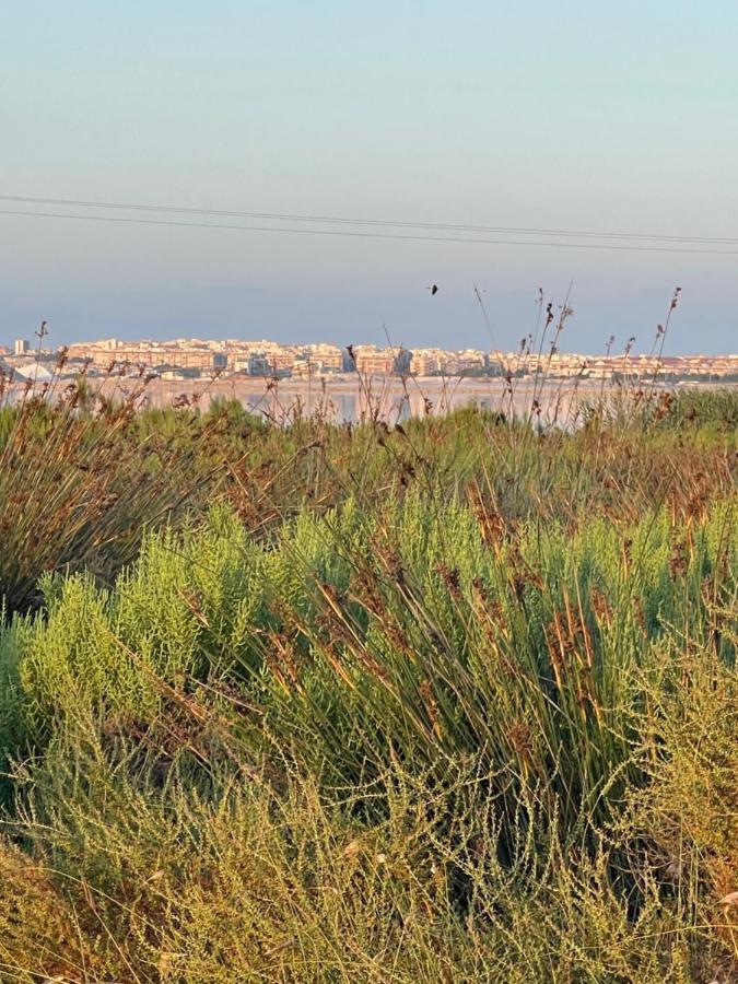Apartamento exclusivo y central Torrevieja Exterior foto